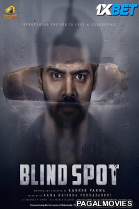 Blind Spot (2025) Telugu Full Movie