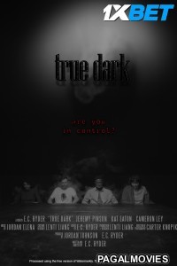 True Dark (2024) Hollywood Hindi Dubbed Full Movie