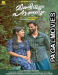 Mindiyum Paranjum (2025) Full Movie