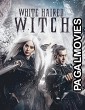 The White Haired Witch of Lunar Kingdom (2014) Hollywood Hindi Dubbed Full Movie